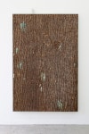 Organ Donor - Nick van Woert