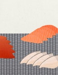 Sushi at Home - giulia.garbin Sushi at Home  - giulia.garbin
