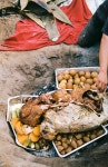 arroyo permaculture - Hannah Ray Taylor Photography
