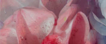 CONTACT - Lucas Laurent CONTACT  - Lucas Laurent