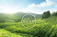 ｜Branding - zu-yun