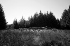 The Fells - Oscar Henderson-Pennington