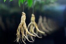 - 쇼핑매장 - 동황토산