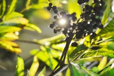 - 쇼핑매장 - 동황토산