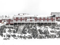mudtropolis