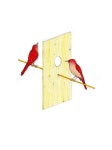 Vreemde Vogels - Dries Bastiaensen
