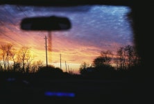 flower child - Jess Claire flower child  - Jess Claire