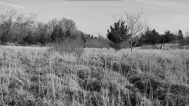 The King is Dead - Nicolas Mezger, Director