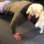 Carson Pickett - @Cars_Pickett16 Twitter Profile and Downloader | Twipu