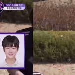 새끼나왔노 - 마징시앙 미니 갤러리