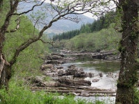 megafgf on Flipboard megafgf