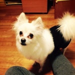 유연석 - @Yeonseok411 Seoul : Latest news, Breaking headlines and Top stories in real time - Scoopnest.com