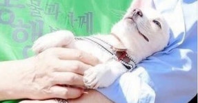 [#jtbc뉴스룸] 대기 오염물질 나오는데 정상…환경업체와 짬짜미 #오염물질 허위 기록으로 이들을 도운 환경 측정업체가 무더기로... 