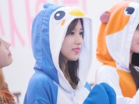 나연이네 공기청정기 - [알림]미나리 마을 펭귄족장님의 생일미나야 생일축하해요#HappyMinaDay...