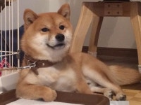 오늘의유머 - 화장실 앞에서 폼 잡고 있는 네 모습. 화장실 앞에서 폼 잡고 있는 네 모습.