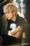 [Appreciation] papa tuan compares marks hair to coco the puppy lol Matching hairstyles - Celebrity Photos - OneHallyu papa tuan... 