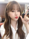 에펨네이션 - 금조
