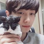 엔씨 (@rivert1239) Twitter Profile | Twicial