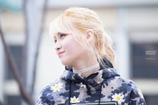 [트와이스] 트둥이들의 코 - 인스티즈(instiz) 이슈 카테고리 [트와이스] 트둥이들의 코