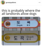 Pgr21 - [유머] 독 프렌들리 스테이션 [유머] 독 프렌들리 스테이션