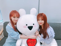 아이즈원 (채원,민주) 트위터 - 문제 틀린 위즈원은 없겠죠? - 청춘불패 갤러리