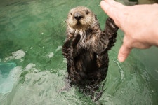 Sofia Miñano - @SofiMinano Twitter Profile and Downloader | Twipu