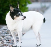 Twitter 부산부동산디벨로퍼의모임 hashtag - Twicial