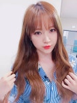 에펨네이션 - 금조