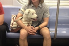 Flipboard의 PETS