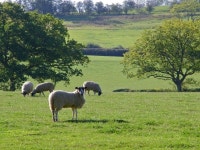 farm24: Latest news, Breaking headlines and Top stories, photos & video in real time - Scoopnest.com