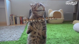 프리보드 - 이얍 고린말 변경 - BATTLEPAGE.COM v12 BATTLEPAGE.COM v12