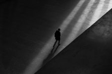 Shadow: Latest news, Breaking headlines and Top stories, photos & video in real time - Scoopnest.com
