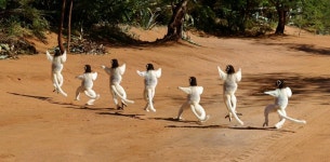 동물 게시판 - 흰색 한복입고 흥겹게 어디론가 향하는 사람들 - BATTLEPAGE.COM v12 BATTLEPAGE.COM v12