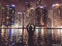 더 베이 다시 보기 보는곳 | PicklePlus