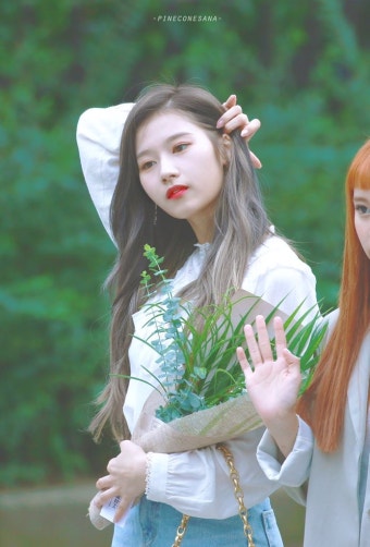카큐 - [사진]트와이스 사나  카큐 디아블로2 디아블로3