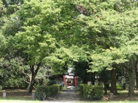 KyotoCityPost - @kyototoday Twitter Profile and Downloader | Twipu