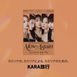 이거 머임?? - 카라 갤러리