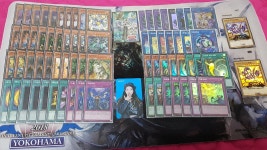 썬드 입상 유사 - TCG 마이너 갤러리