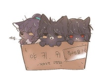 펌)야, 키워. - 로보토미 코퍼레이션 마이너 갤러리