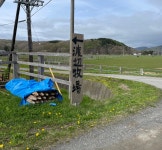 와타나베 목장 견학기들 - 우마무스메 마이너 갤러리