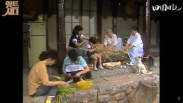 전원일기 다시 보기 보는곳 | PicklePlus