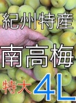 HOT特価 g2818⚠️南高梅4L3kg 古城梅3L3kg gTLSp-m27554360024 安い高品質