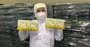 블라인드 | 서울향료 뉴스