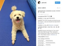 ´티아라 논란´ 류화영, SNS에 뜬금 올린 사진 - 일간스포츠 ´티아라 논란´ 류화영, SNS에 뜬금 올린 사진