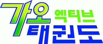 가오엑티브태권도 2023년 기업정보 | 사원수, 회사소개, 근무환경, 복리후생 등 - 사람인