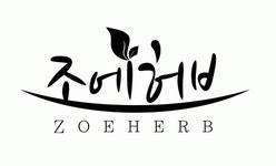 조에허브(주) 2024년 재무정보 | 매출액 50억 594만원 영업이익... 조에허브(주) 2024년 재무정보 | 매출액  50억 594만원 영업이익, 자본금... 