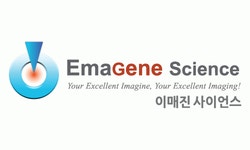 이매진사이언스 채용 | 2025년 진행 중인 공고 - 사람인 이매진사이언스 채용 | 2025년 진행 중인 공고  - 사람인