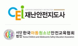 (사)한국아동청소년안전교육협회 2025년 기업정보 | 직원수, 근무환경, 복리후생 등 - 사람인 (사)한국아동청소년안전교육협회 2025년 기업정보... 