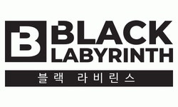 (주)블랙라비린스 2025년 기업정보 | 직원수, 근무환경, 복리후생 등 - 사람인 (주)블랙라비린스 2025년 기업정보 | 직원수, 매출액, 복리후생 등... 