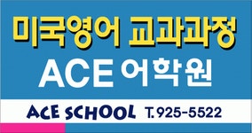 에이스어학학원 2010년 재무정보 | 영업이익, 자본금, 공시정보 등 - 사람인